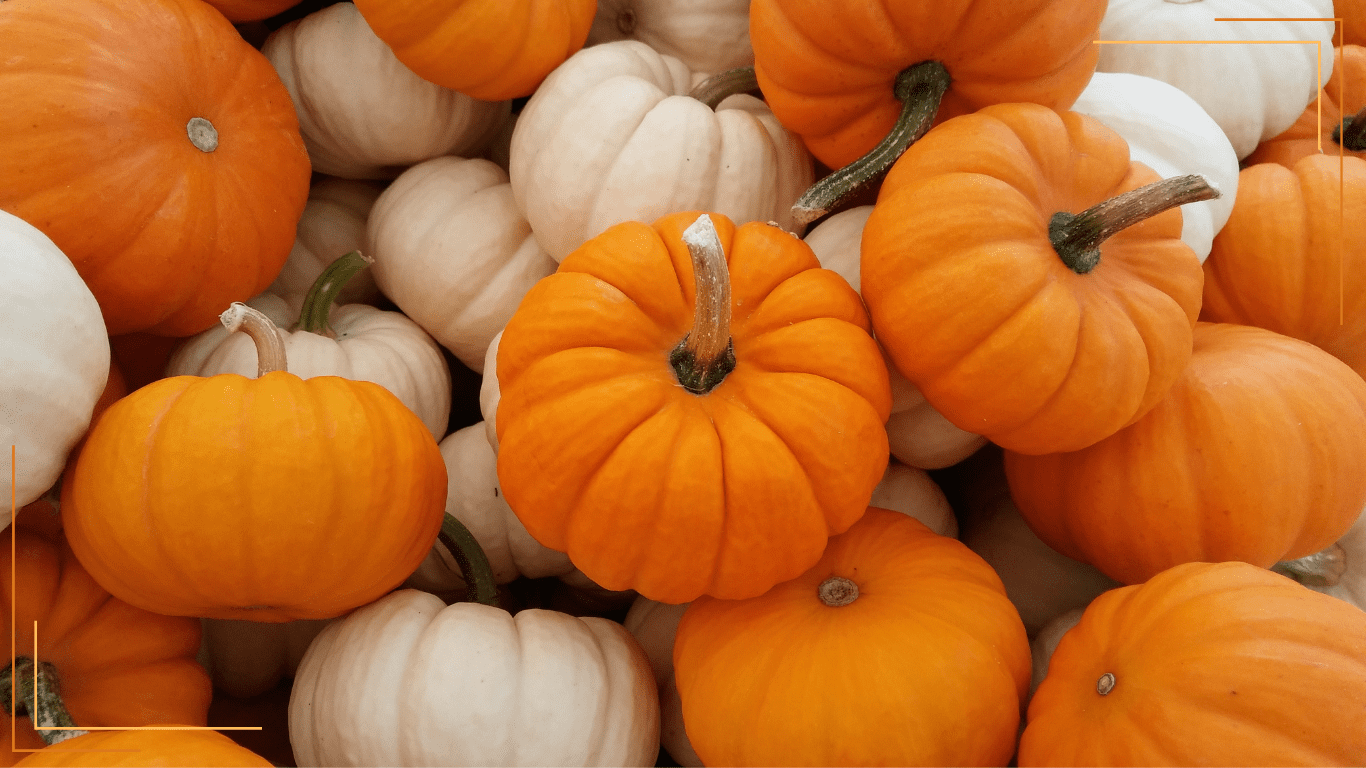 Pumpkins Benefits